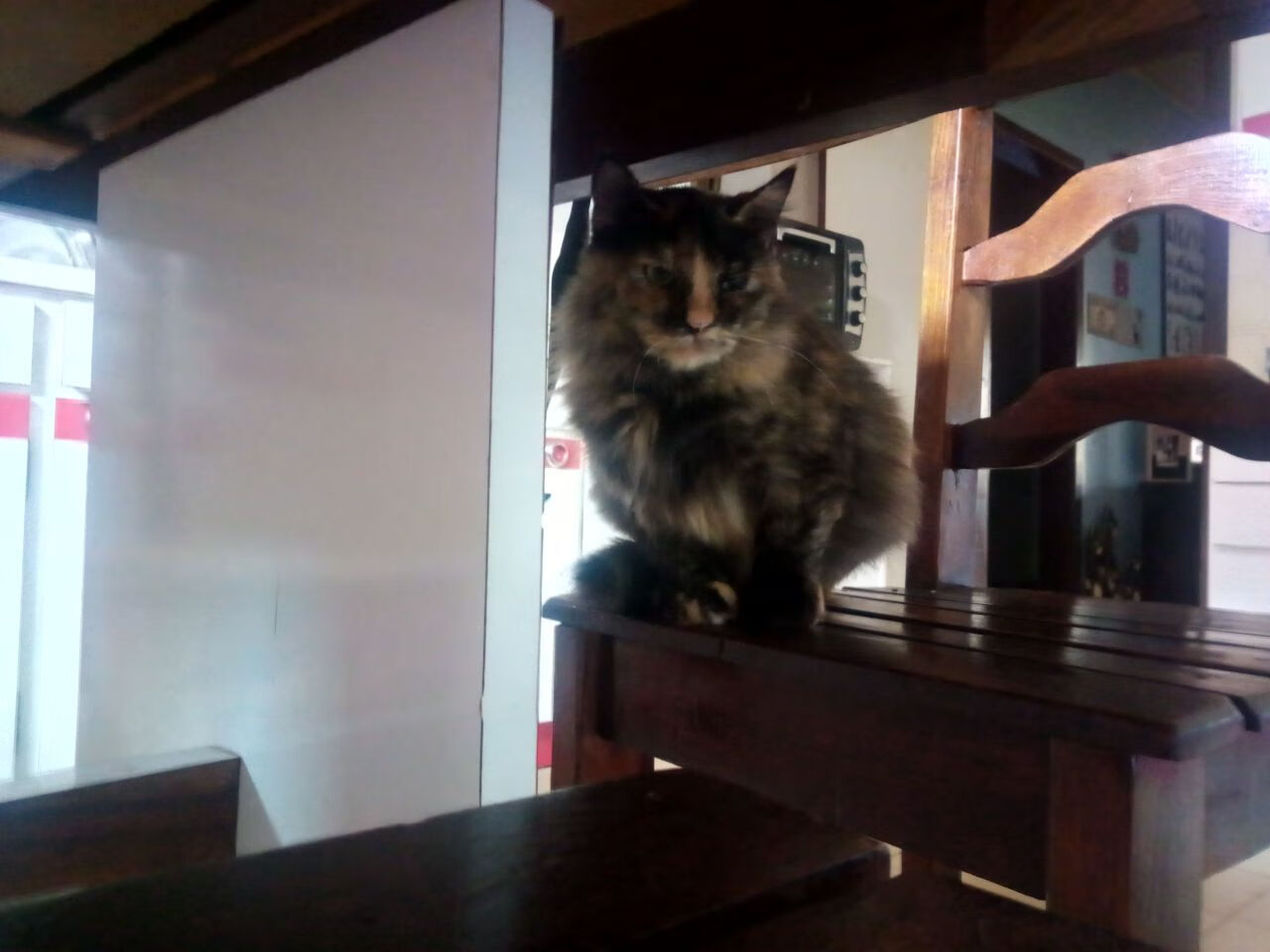 国际米兰引援成色十足,目标冠军,国际米兰今夏引援