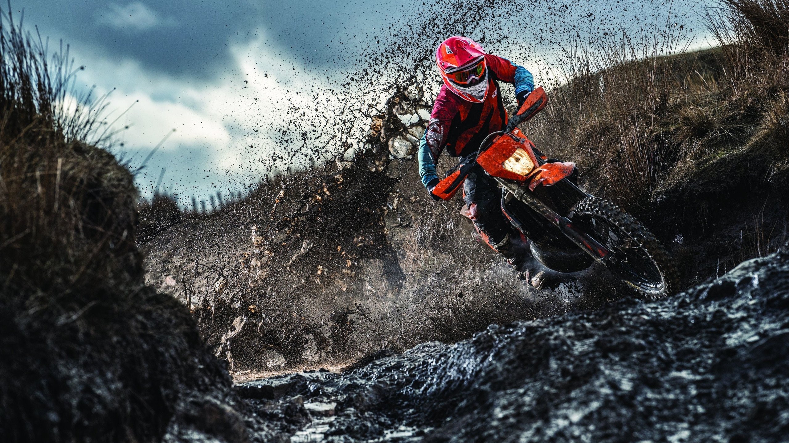 威尔士女队崭露头角，成为国际赛场的黑马，威尔士女队崭露头角,成为国际赛场的黑马了吗