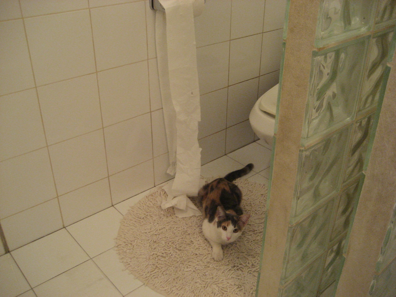 开云体育登入-中国足球文化推广活动走进高校，中国校园足球文化