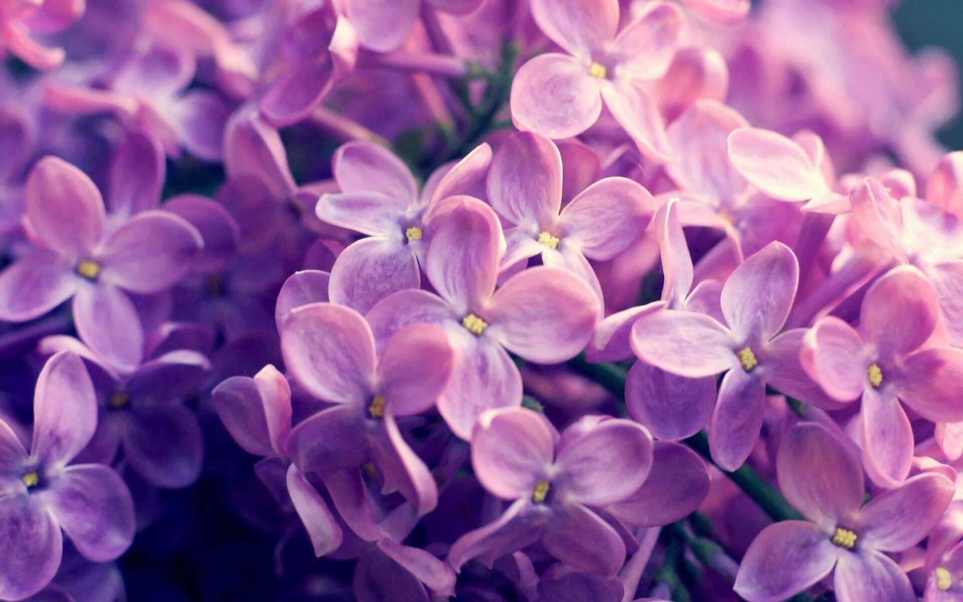 传统武术表演秀，传递文化正能量，武术 表演