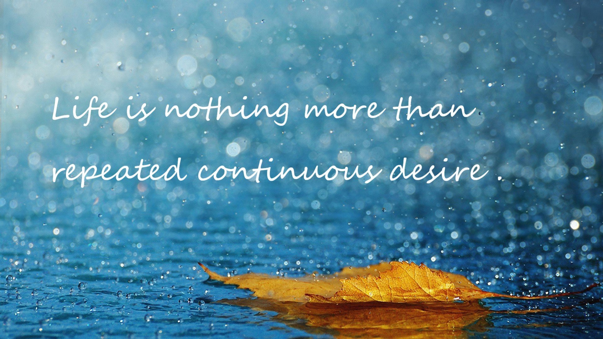 全球巡回:WRC带你看遍世界最美赛道,tcc全球最美2020